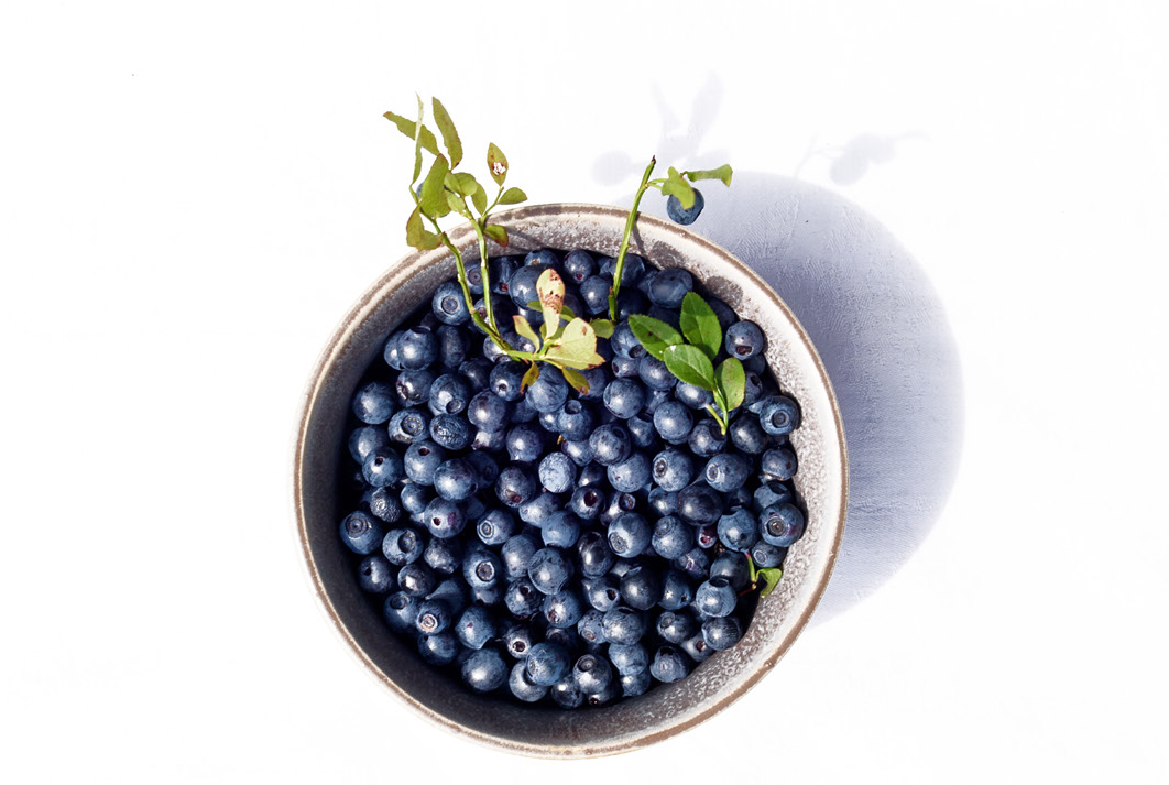 Mustikan poimintaa etänä