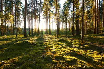 Lepoa myös digistä